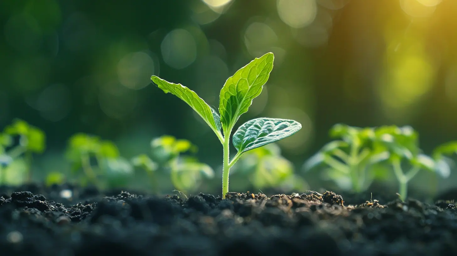 - How Growth Hacking Can Revitalize Stagnant Revenue Streams