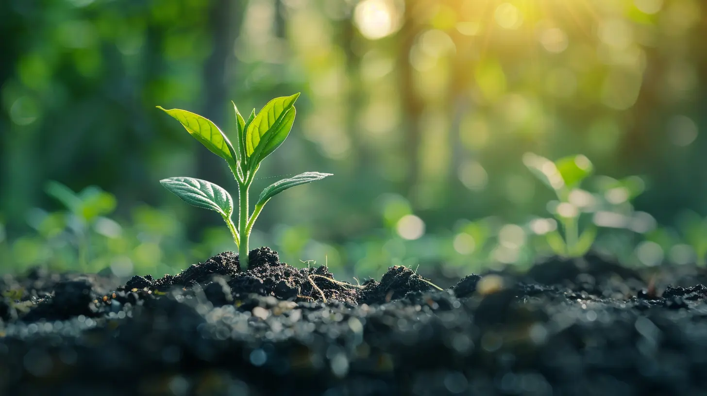 - Understanding the Viral Coefficient and Using It to Hack Growth