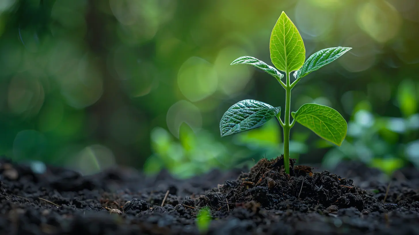 The Relationship Between Growth Potential and Business Valuation