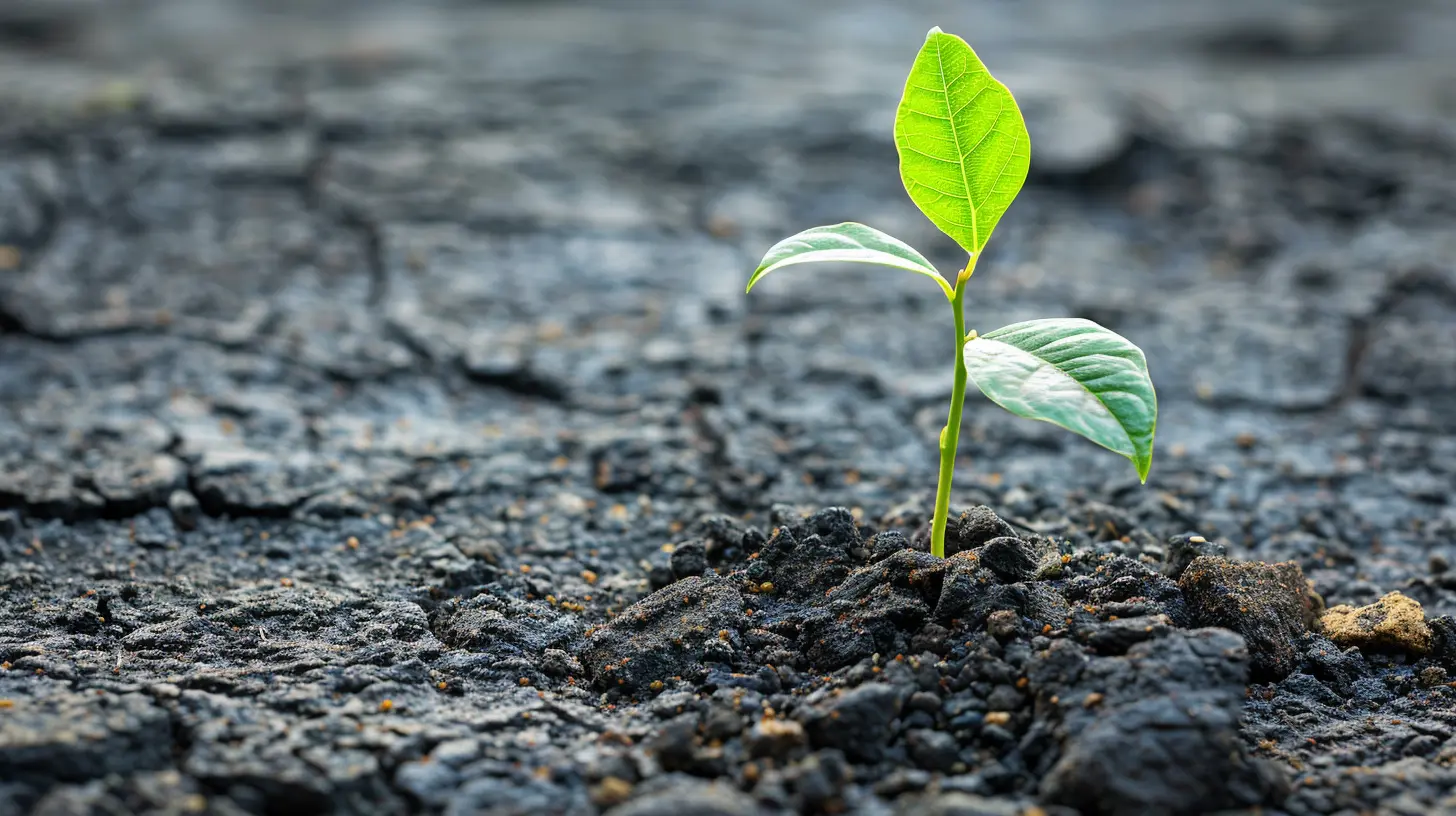 The Relationship Between Growth Potential and Business Valuation