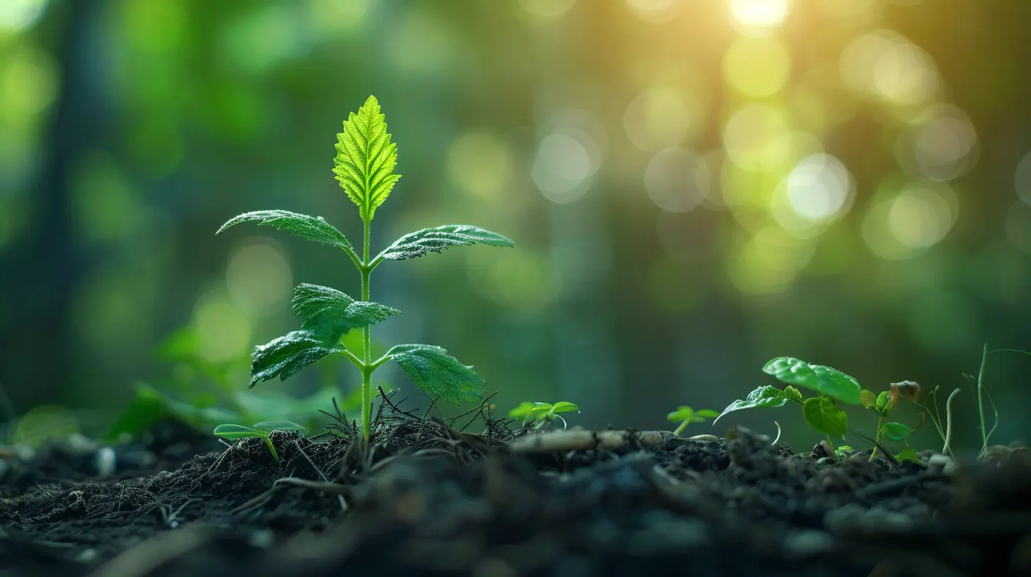 The Relationship Between Growth Potential and Business Valuation