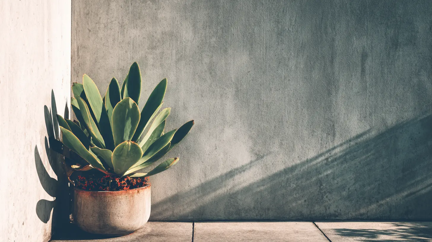 Trends in Minimalist Branding and What They Mean for You