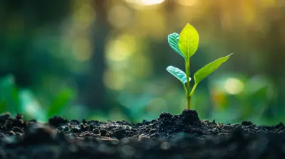 - The Connection Between Growth Hacking and Customer Success