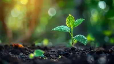 How to Value a Startup Without Profits