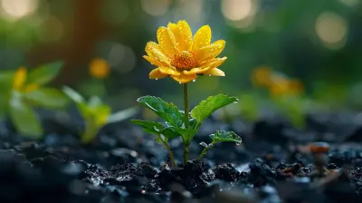 The Art of Innovating in a Saturated Market