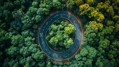 The Intersection of Sustainability and Business Innovation