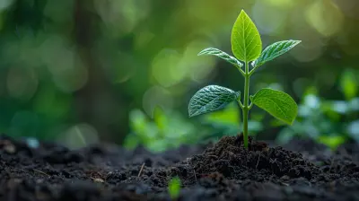 The Relationship Between Growth Potential and Business Valuation