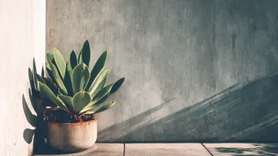 Trends In Minimalist Branding And What They Mean For You