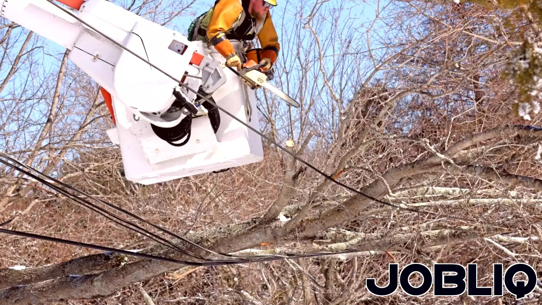 Cape Cod business leader wants to bury electrical grid, demands state support after blizzard