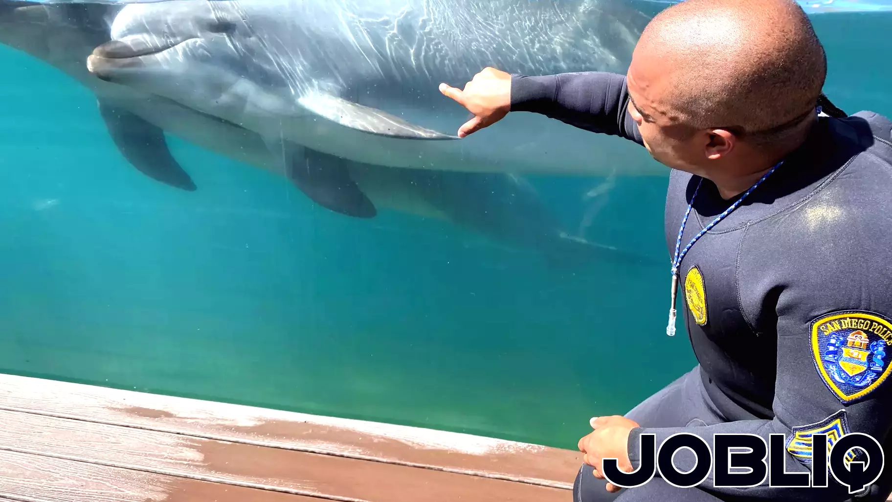 Local SDPD Officer Balances Dual Roles as Police Sergeant and Dolphin Trainer