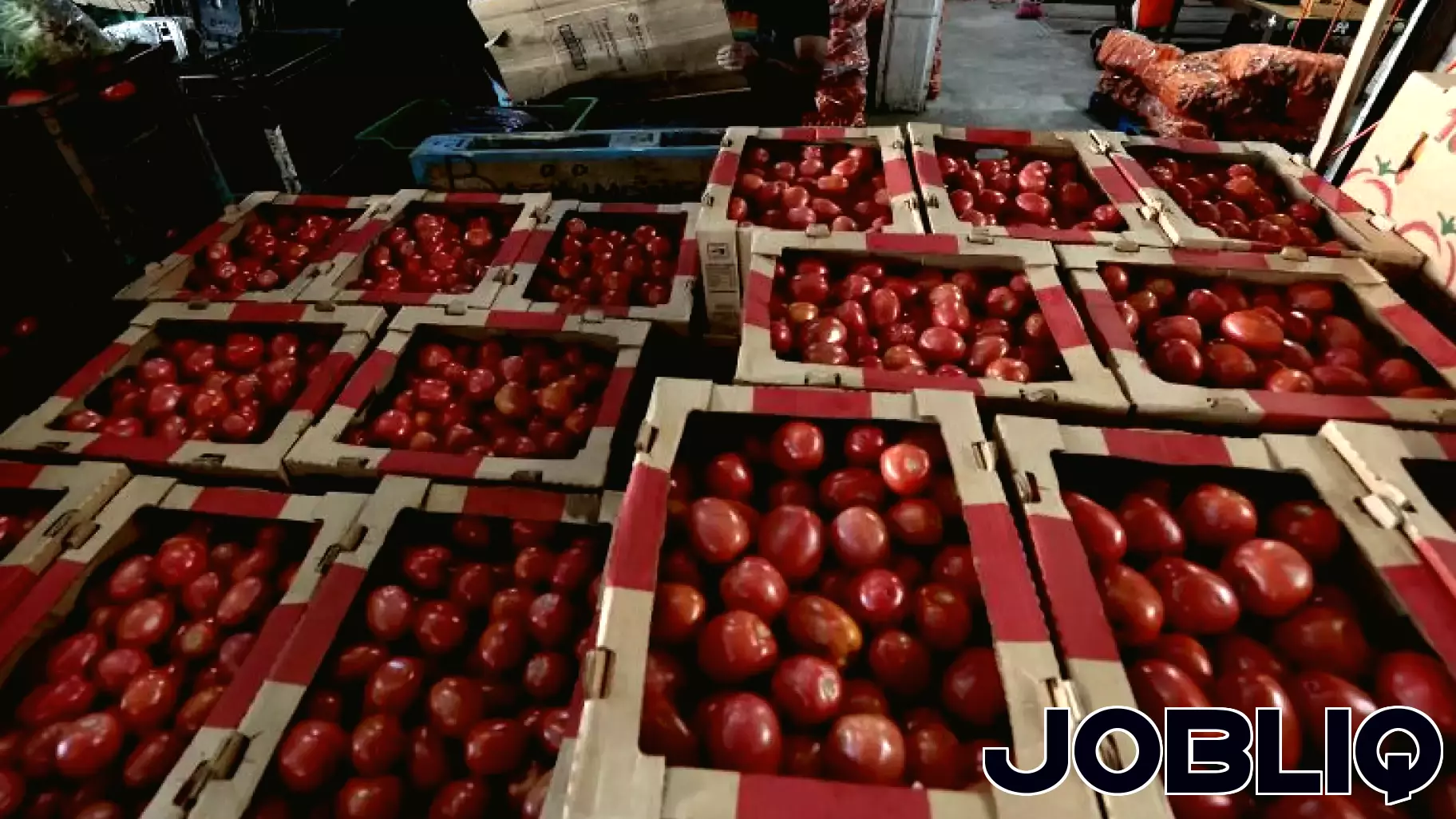Potential Price Surge for Tomatoes in the U.S.