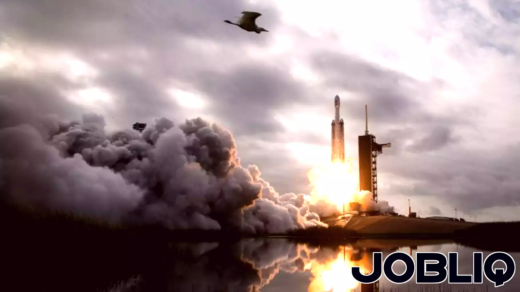 SpaceX reportedly files plans for massive IPO