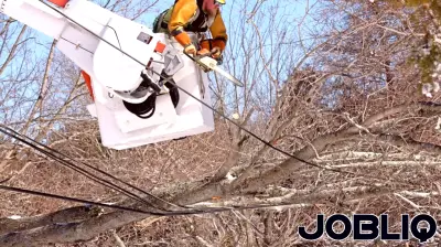 Cape Cod business leader wants to bury electrical grid, demands state support after blizzard