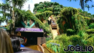 Disney's Theme Parks Thrive Amid Consumer Concerns