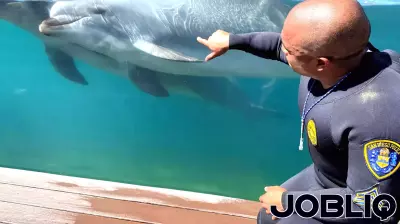 Local SDPD Officer Balances Dual Roles as Police Sergeant and Dolphin Trainer