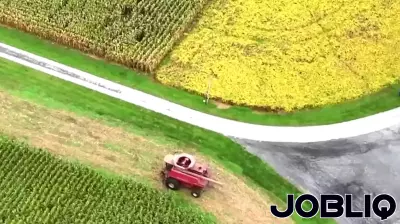 Maryland Soybean Farmers Face Challenges Due to Trade Tensions with China