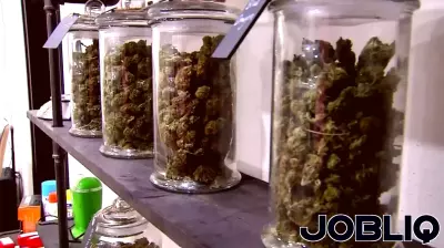 Medical marijuana business new license moratorium could get extended