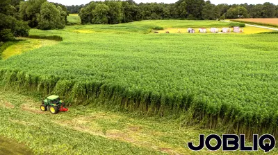 New Legislation Limits THC in Hemp Products, Impacting Georgia's Market