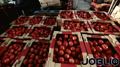 Potential Price Surge for Tomatoes in the U.S.