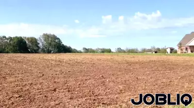 Sunflower Season Faces Unique Challenges Due to Rainy Weather