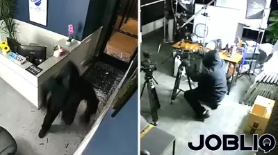 Suspect steals $20,000 worth of camera gear from Riverside business