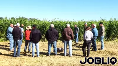 Sweet Sorghum and Electrochemistry: A New Frontier for Ethanol Fuel Cells